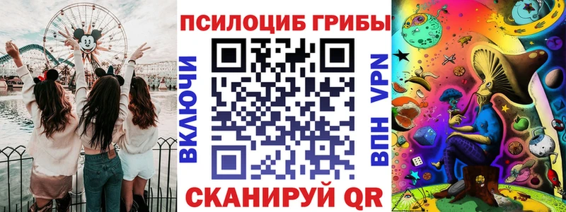 закладки  Кириллов  Псилоцибиновые грибы GOLDEN TEACHER 
