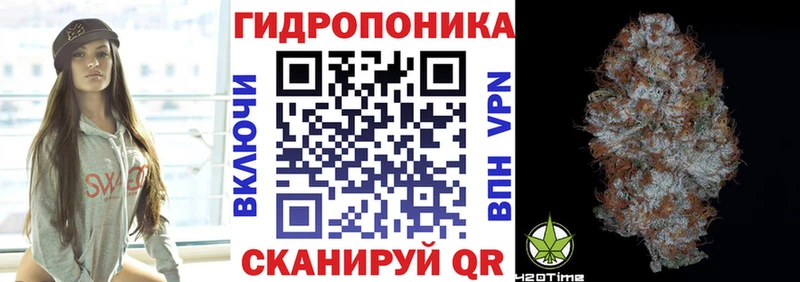 Марихуана планчик  купить наркоту  Кириллов 